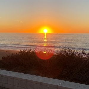 Meet your Posher, Girl Boss 3